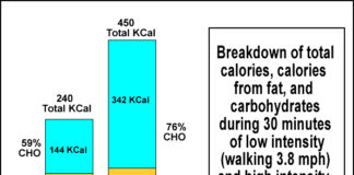 fat burning zone