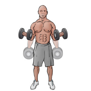 dumbbell-curls